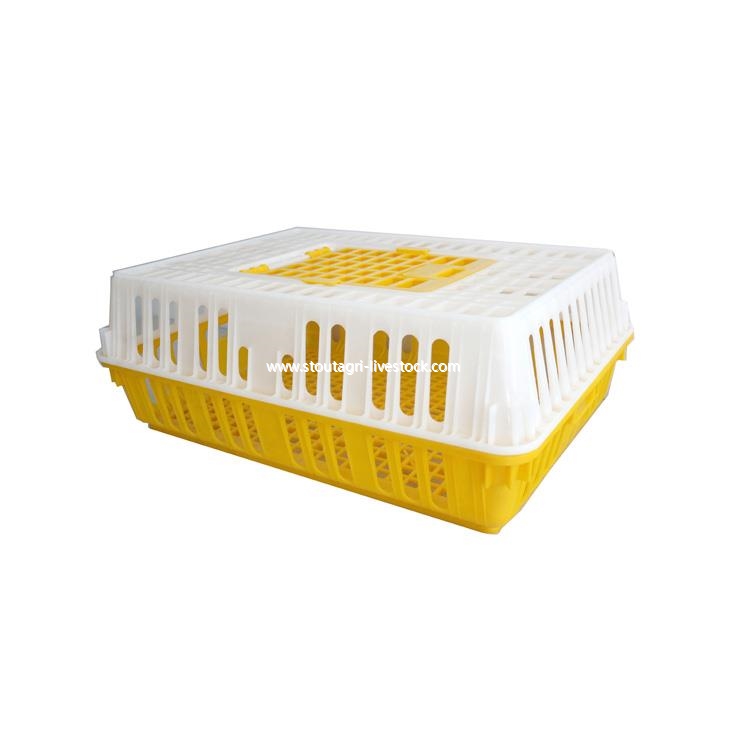 Plastic chicken transport crate