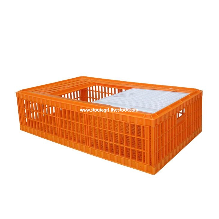 Plastic Poultry Transport Crate