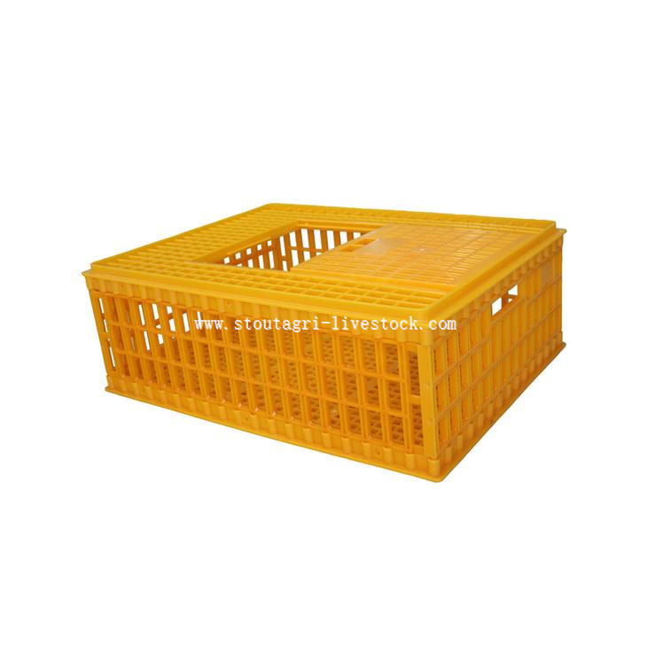 Chicken Transport Box