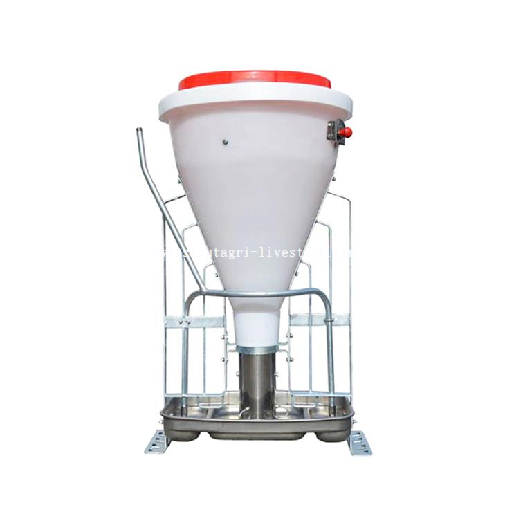 Dry Wet Automatic Pig Feeder