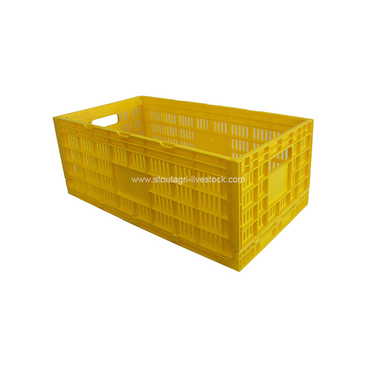 Poultry Egg Transport Box