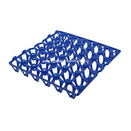 Plastic Poultry Egg Tray