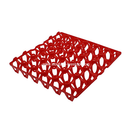 Plastic Poultry Egg Tray