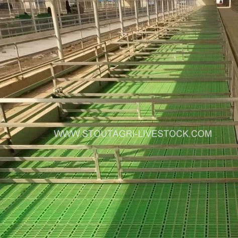 Plastic slats floor for sheep and goats